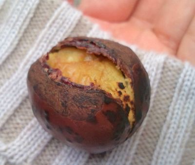 1000円グルメの日々in宇都宮