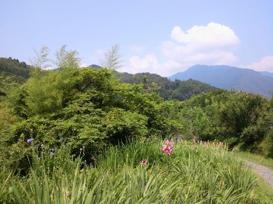 1000円グルメの旅 from 宇都宮 to 47都道府県