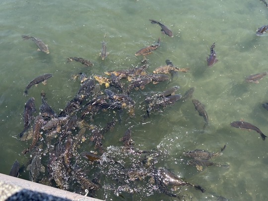 2025-07-21 17.26.48-2