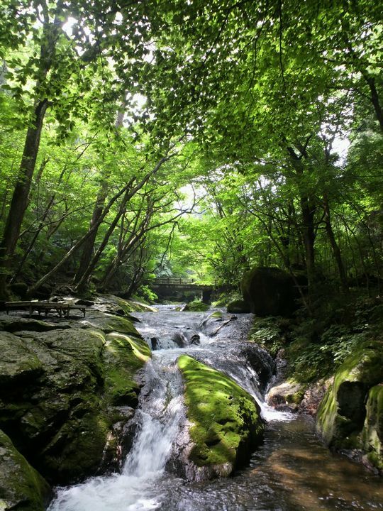 1000円グルメの日々in宇都宮