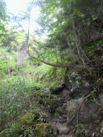 1000円グルメの旅 from 宇都宮 to 47都道府県