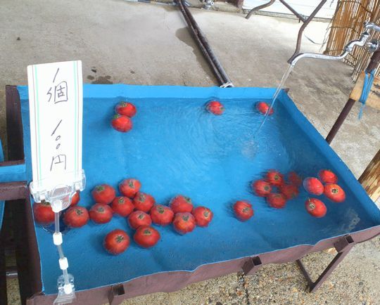 1000円グルメの旅 from 宇都宮 to 47都道府県