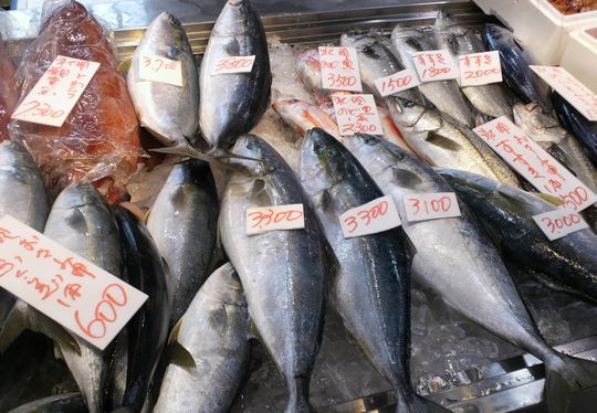 1000円グルメの旅 from 宇都宮 to 47都道府県