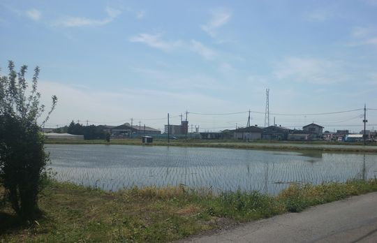 1000円グルメの日々in宇都宮