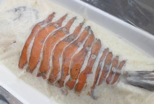 1000円グルメの旅 from 宇都宮 to 47都道府県