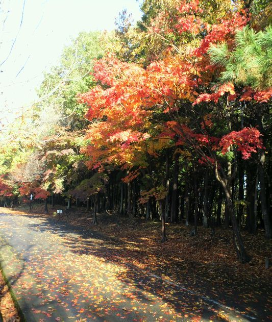 1000円グルメの旅　from 宇都宮　to 47都道府県