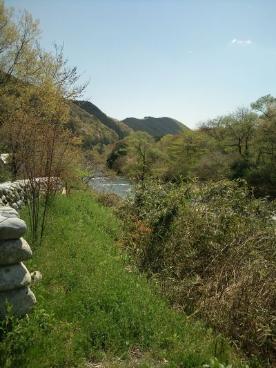 1000円グルメの日々in宇都宮