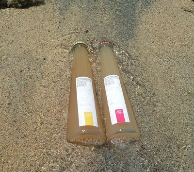 1000円グルメの日々in宇都宮