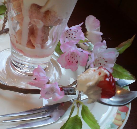 1000円グルメの旅 from 宇都宮 to 47都道府県