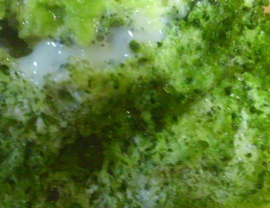 1000円グルメの旅　from 宇都宮　to 47都道府県