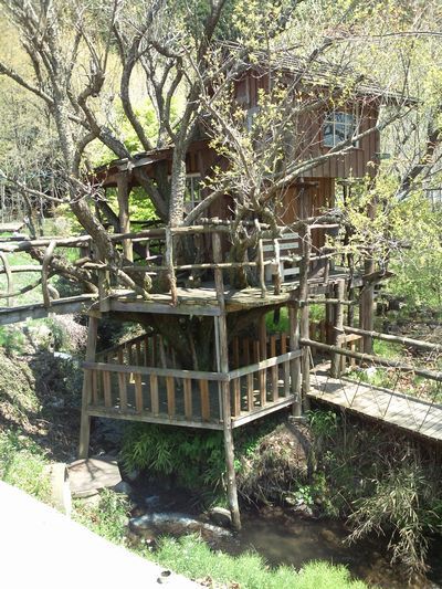 1000円グルメの日々in宇都宮