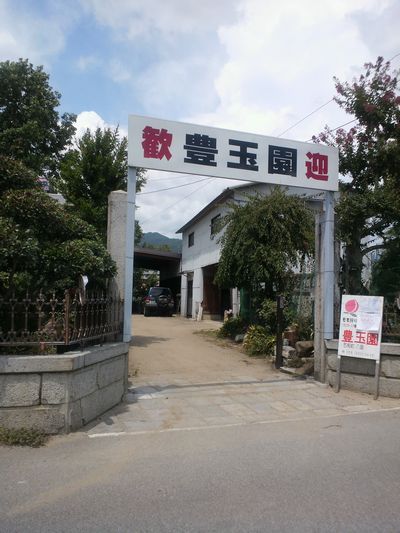 1000円グルメの日々in宇都宮