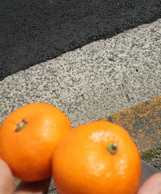 1000円グルメの旅 from 宇都宮 to 47都道府県