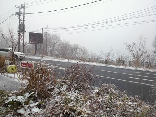 1000円グルメの旅　from 宇都宮　to 47都道府県