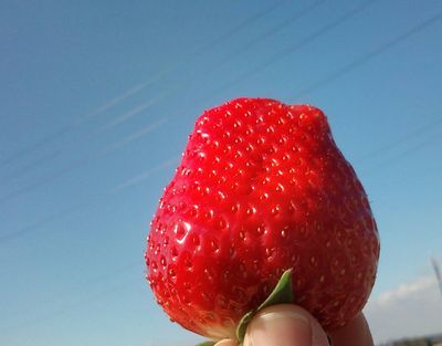 1000円グルメの日々in宇都宮