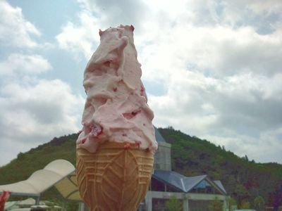 1000円グルメの日々in宇都宮