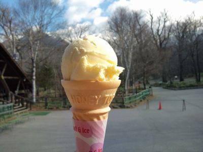 1000円グルメの日々in宇都宮