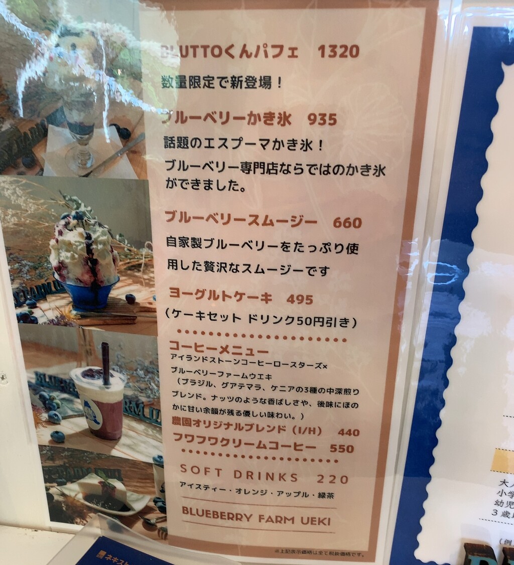 21かき氷遍路17 ブルーベリー農園のかき氷 ブルーベリーファームウエキ 矢板市 1000円グルメの旅 Powered By ライブドアブログ