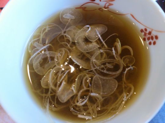 1000円グルメの旅　from 宇都宮　to 47都道府県