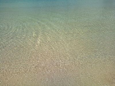 1000円グルメの日々in宇都宮