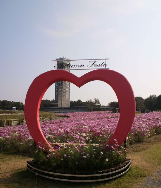 1000円グルメの旅 from 宇都宮 to 47都道府県