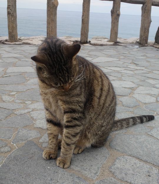 1000円グルメの旅 from 宇都宮 to 47都道府県