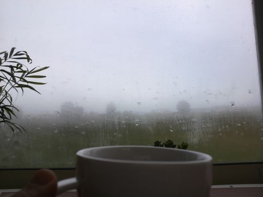 1000円グルメの旅　from 宇都宮　to 47都道府県