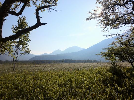 1000円グルメの旅　from 宇都宮　to 47都道府県