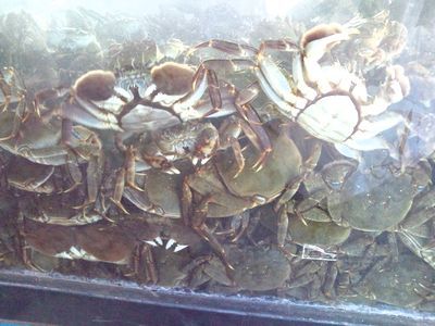 1000円グルメの日々in宇都宮