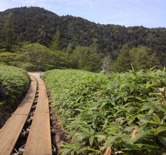 1000円グルメの旅 from 宇都宮 to 47都道府県