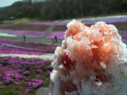 1000円グルメの旅 from 宇都宮 to 47都道府県