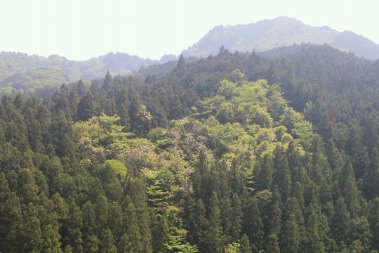 1000円グルメの日々in宇都宮