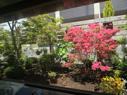 1000円グルメの日々in宇都宮