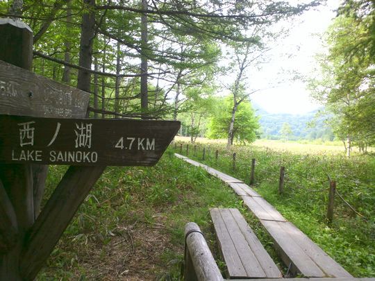 1000円グルメの旅　from 宇都宮　to 47都道府県