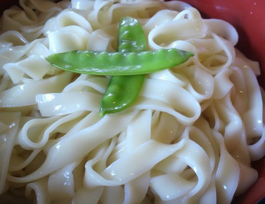 1000円グルメの日々in宇都宮