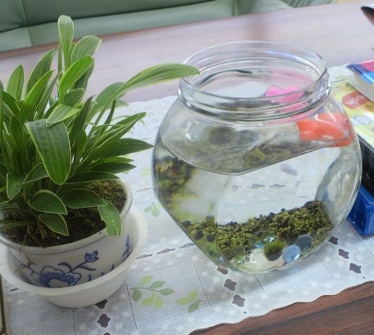 1000円グルメの旅 from 宇都宮 to 47都道府県