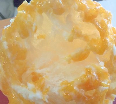 1000円グルメの日々in宇都宮