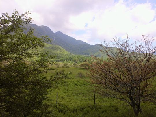 1000円グルメの旅　from 宇都宮　to 47都道府県