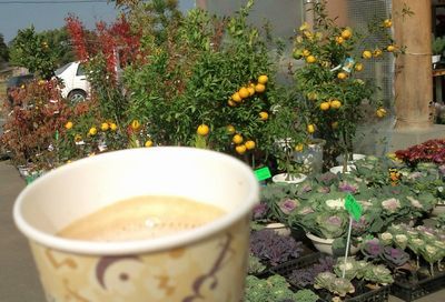 1000円グルメの日々in宇都宮