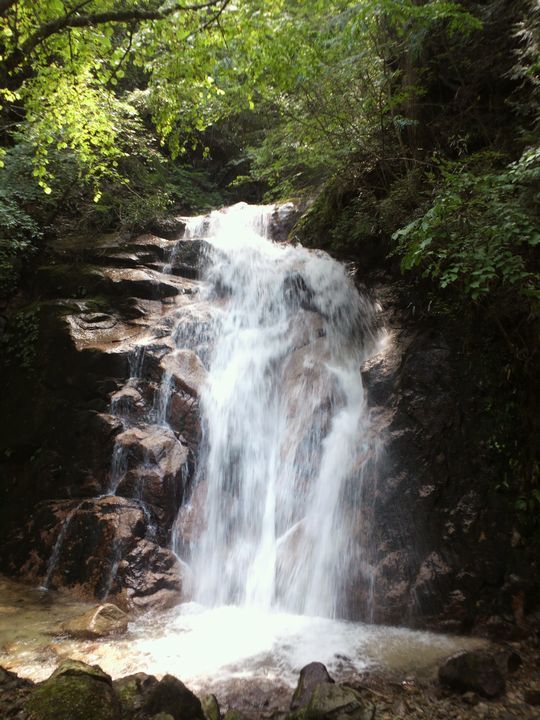 1000円グルメの旅 from 宇都宮 to 47都道府県