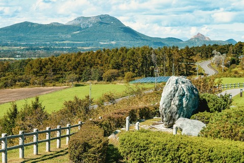 aestelle-OeD5xGOMvpA-unsplash