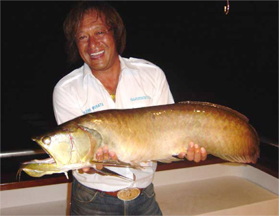 巨大アロワナ 魚種格闘技戦 ブログ