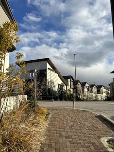IMG_5685