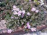 IMG_20160329_120028