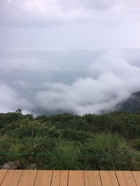 IMG_4847