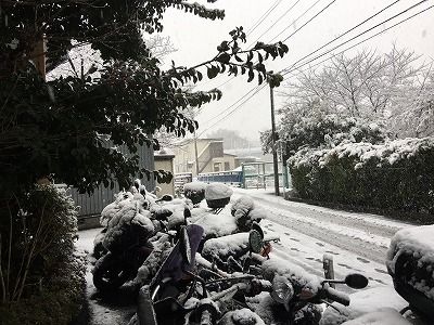 2018雪 (6)