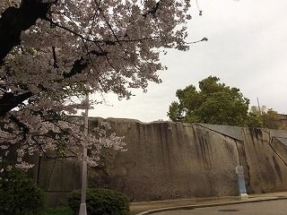 たこいし