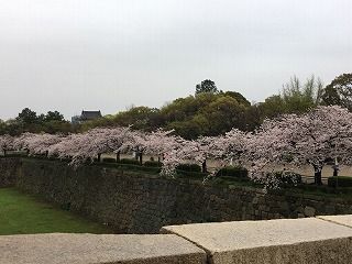 内堀回り