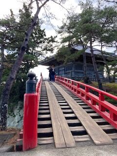 松島 (9)