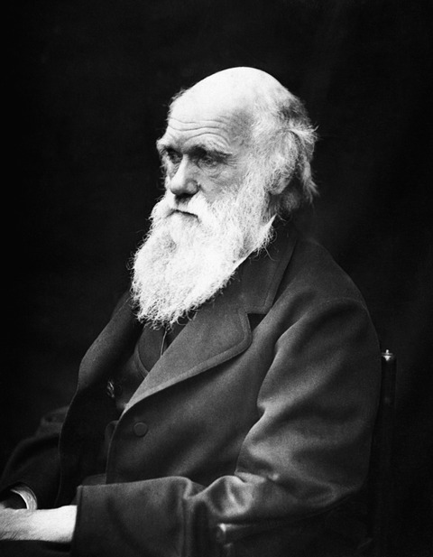 charles-robert-darwin-62911_1920